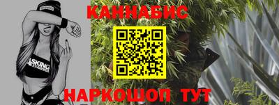 МДПВ Сланцы